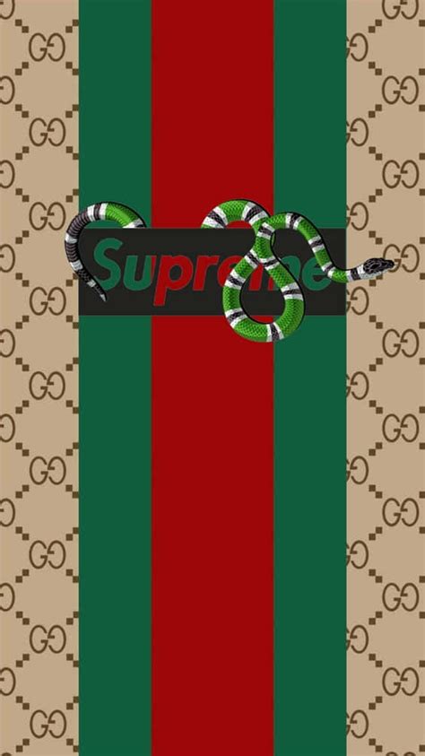 gucci supreme collaboration